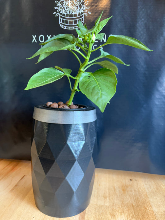 Black Diamond Hydroponic Grow Kit