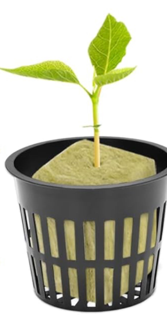 Wood Barrel Hydroponic Grow Kit