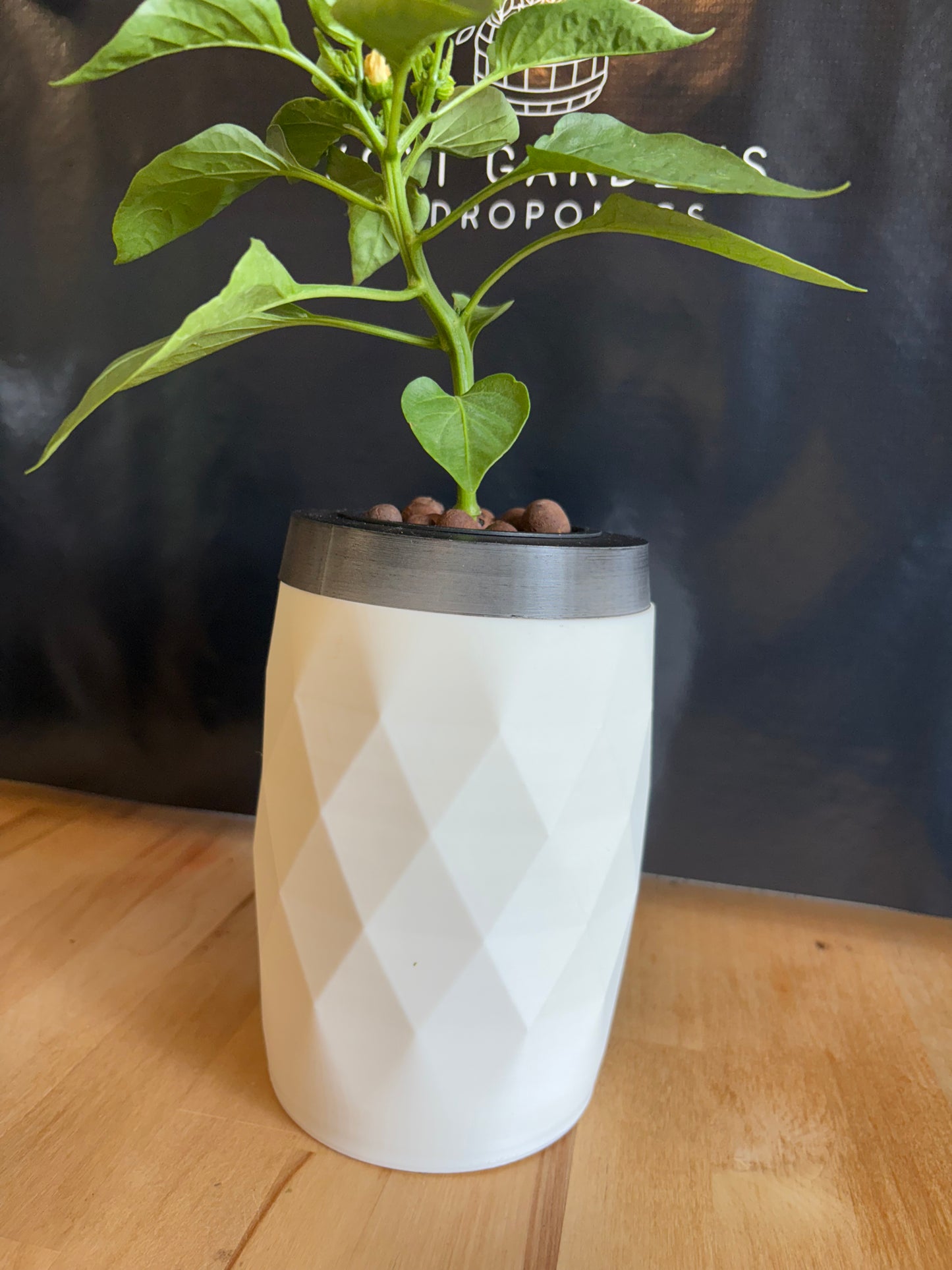 White Diamond Hydroponic Grow Kit