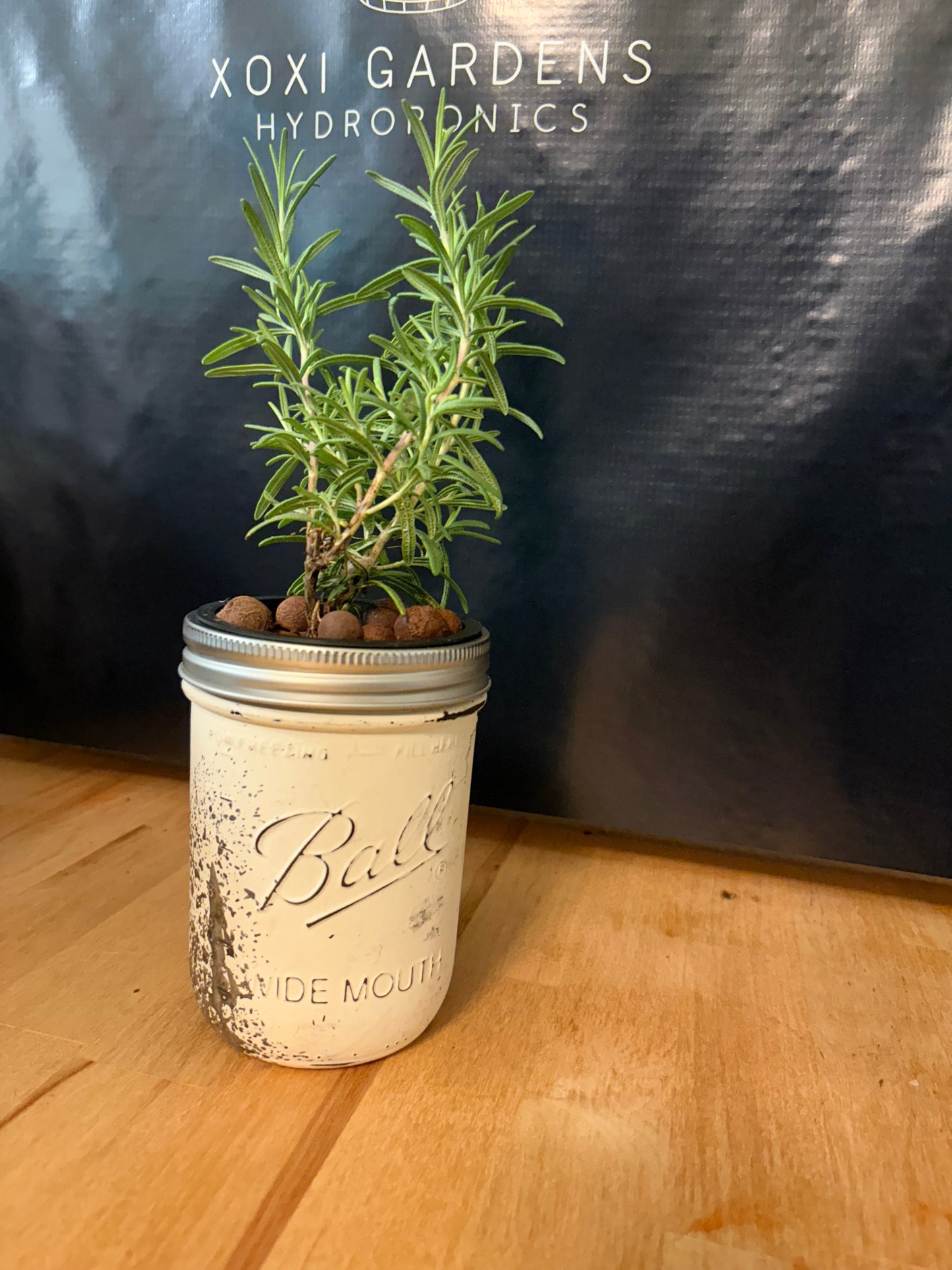 Antique Jar Hydroponic Grow Kit (small)